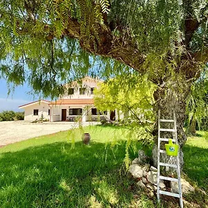  Appartement Andrea San Lorenzo Italie